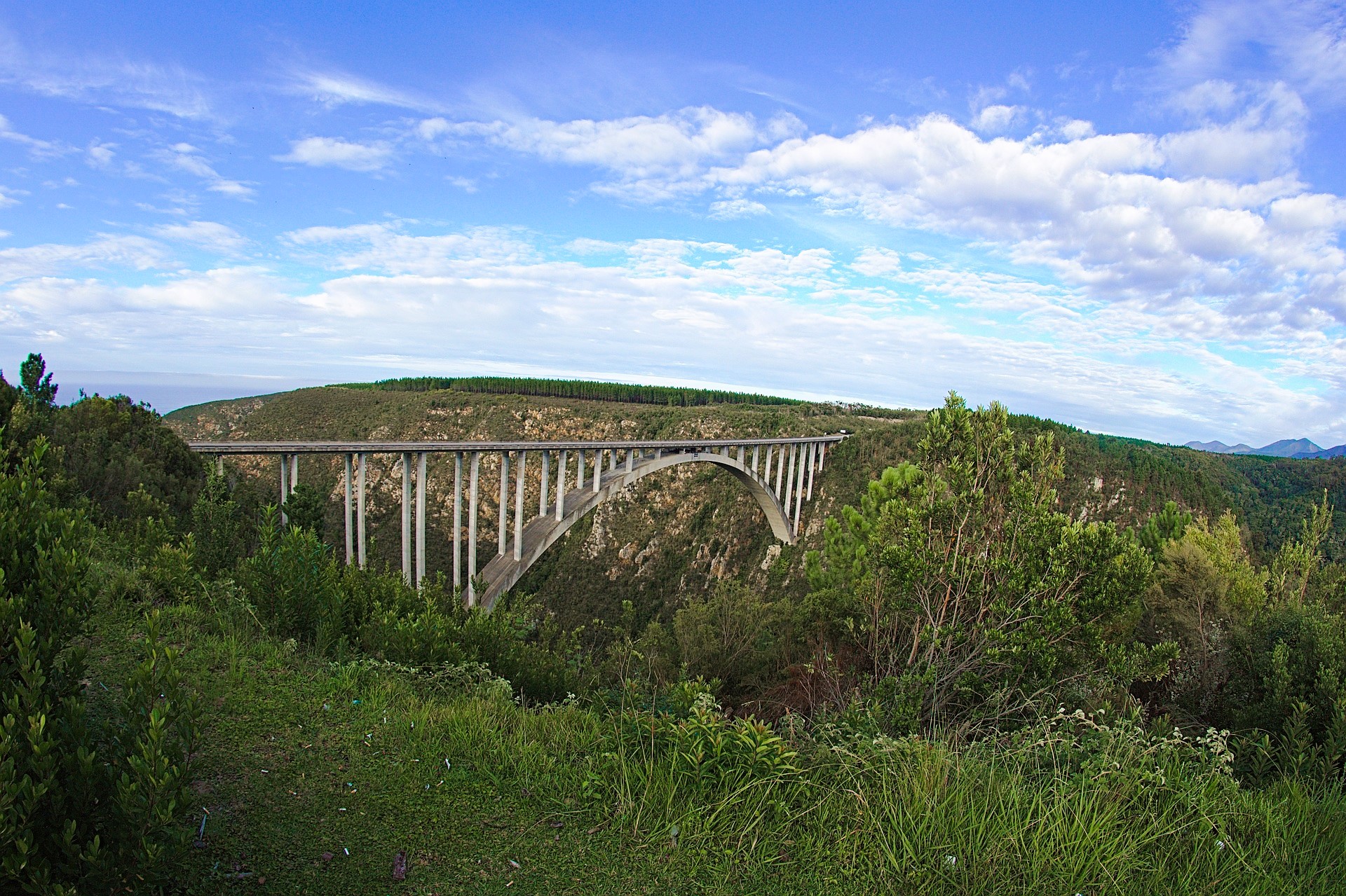 Bloukrans Bungy