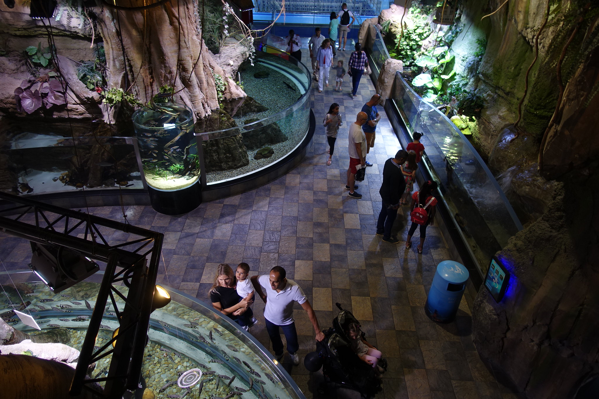 Dubai Aquarium & Underwater Zoo