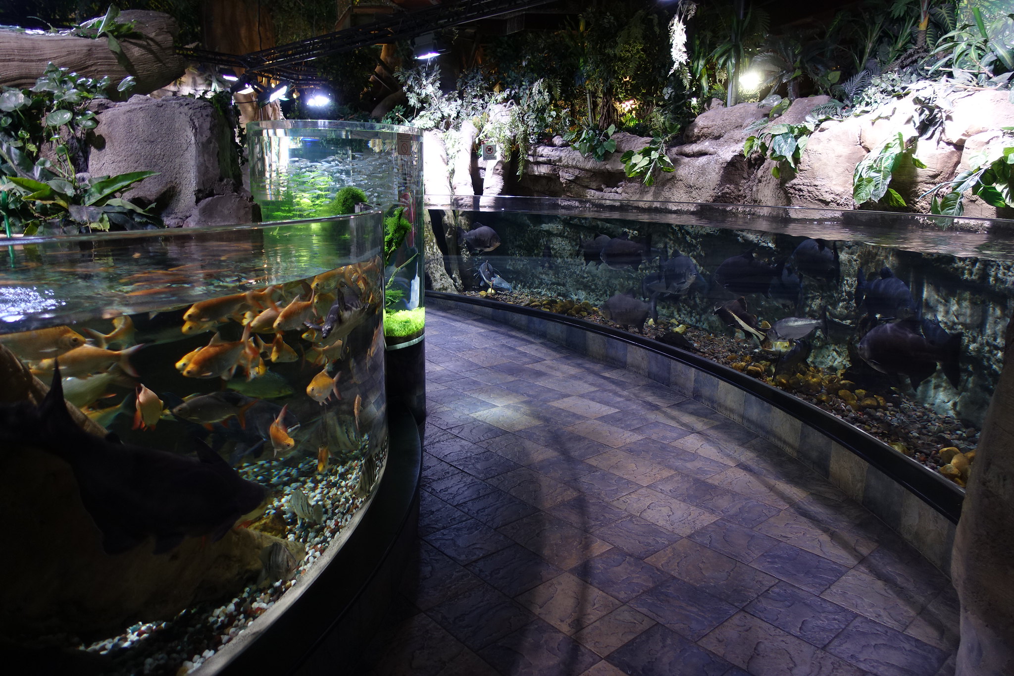 Dubai Aquarium & Underwater Zoo