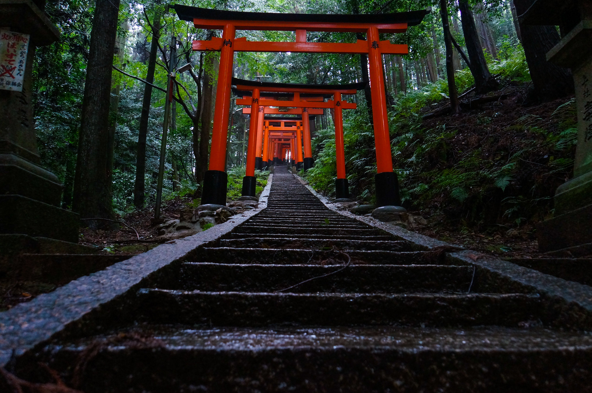 Fushimi Inari-taisha Shrine