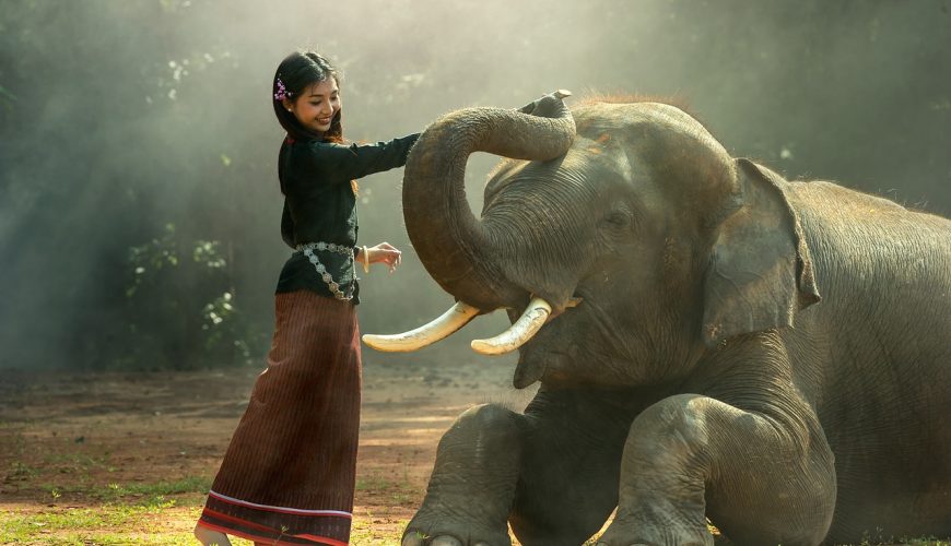 Green Elephant Sanctuary