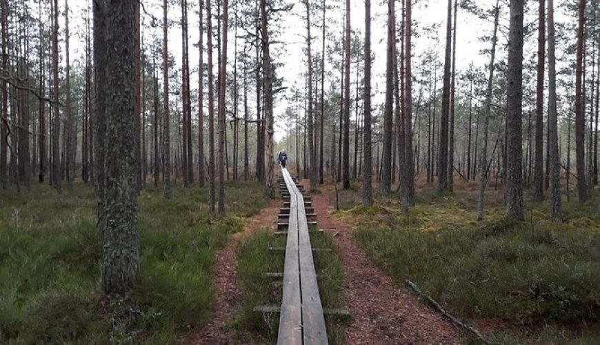 Lahemaa National Park