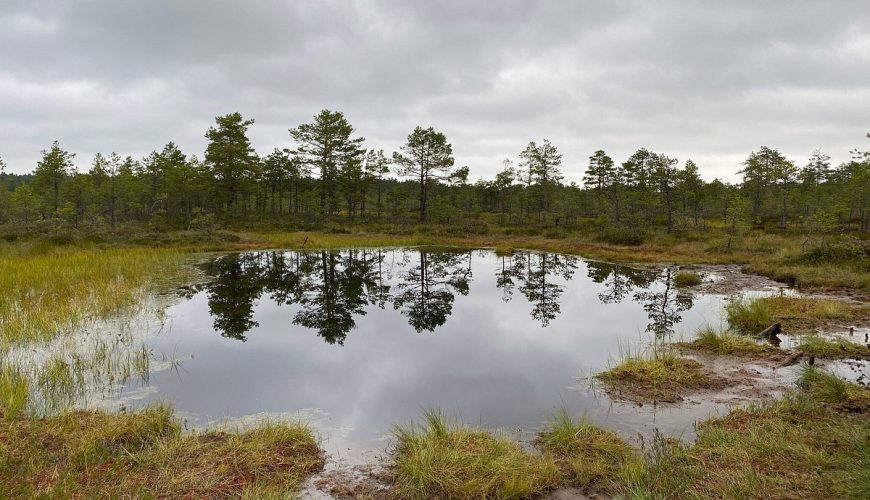 Lahemaa National Park