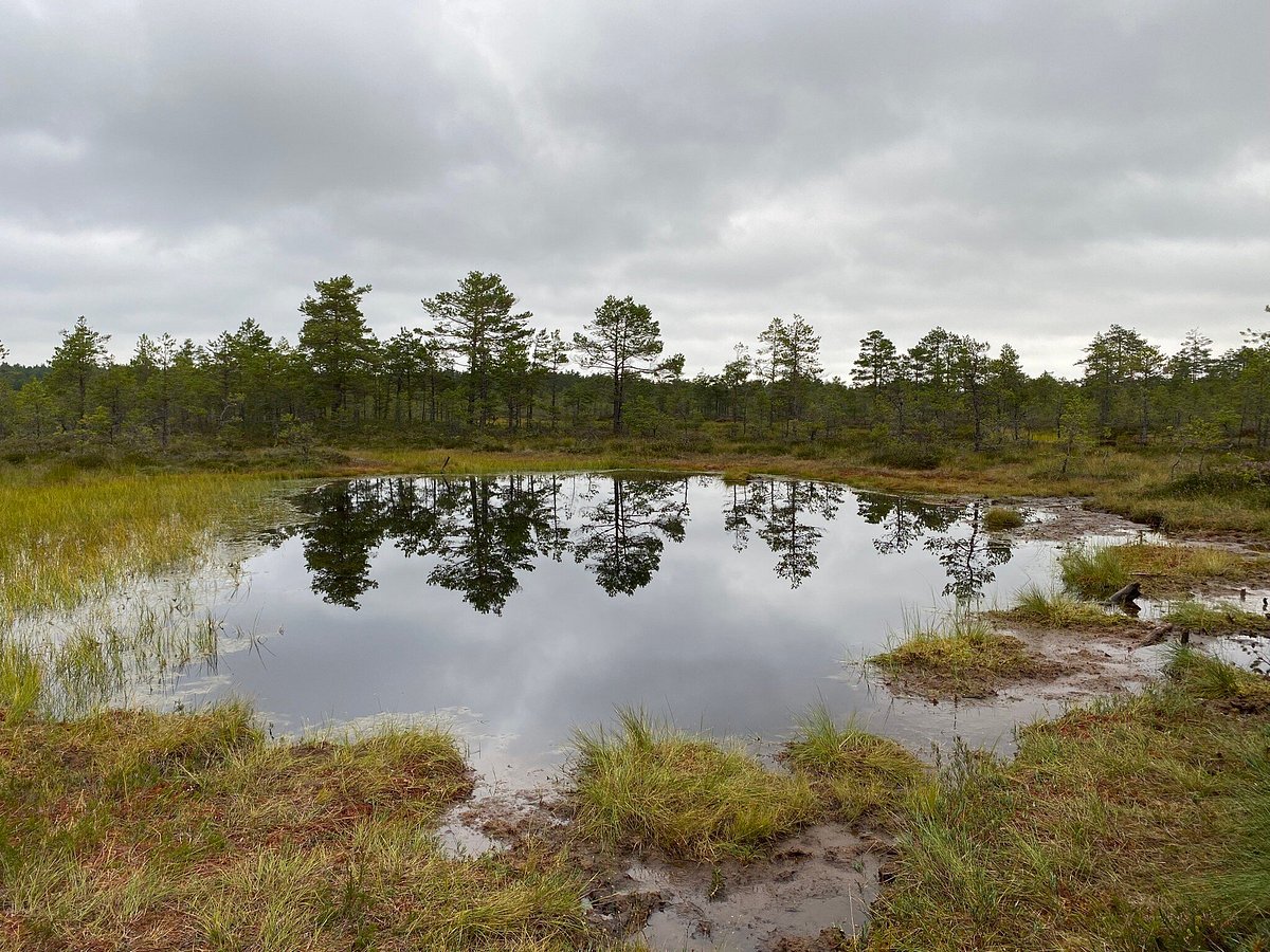 Lahemaa National Park