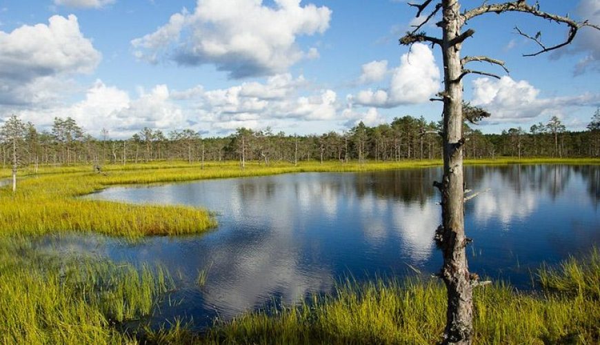 Lahemaa National Park