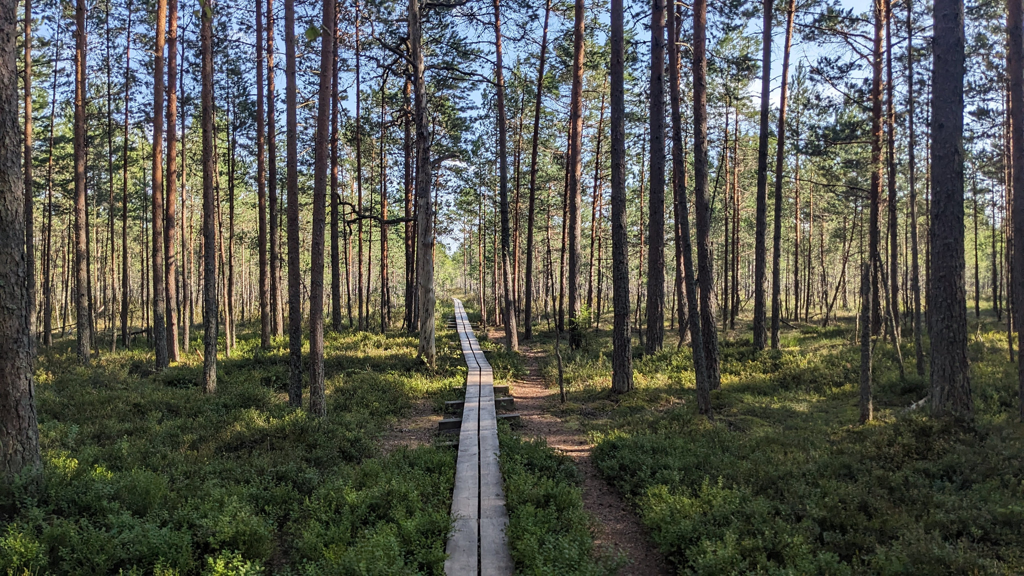 Lahemaa National Park