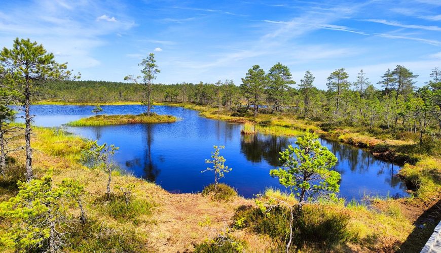 Lahemaa National Park