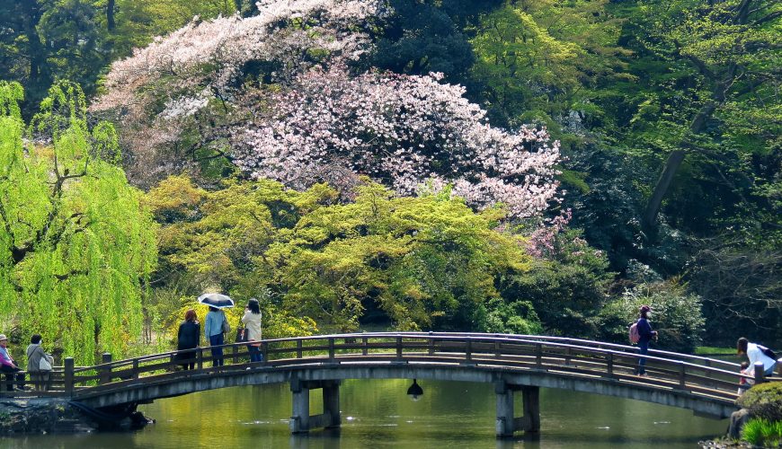 Shinjuku Gyoen National Garden