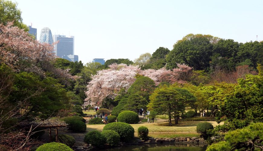 Shinjuku Gyoen National Garden
