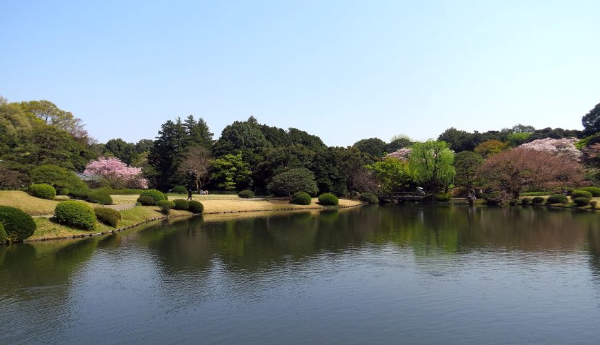 Shinjuku Gyoen National Garden