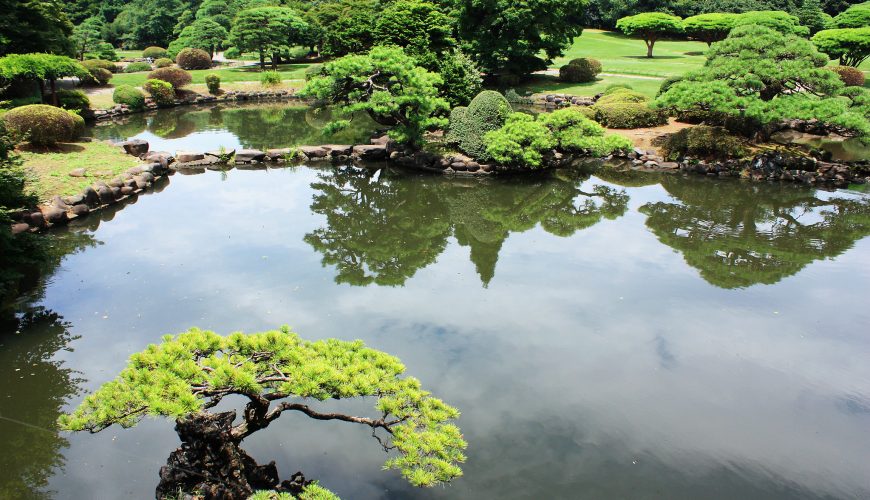 Shinjuku Gyoen National Garden