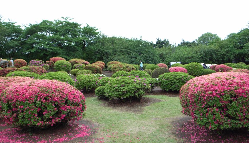 Shinjuku Gyoen National Garden