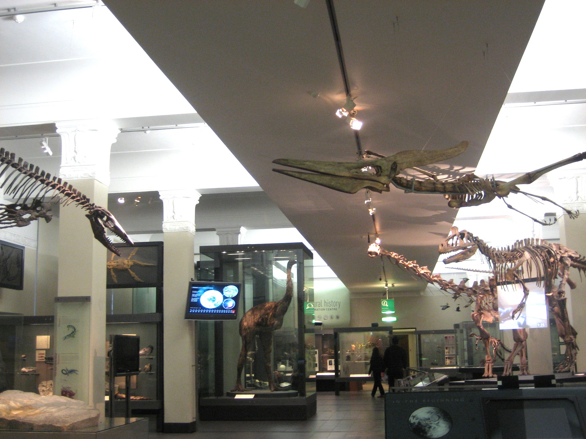 Auckland Museum