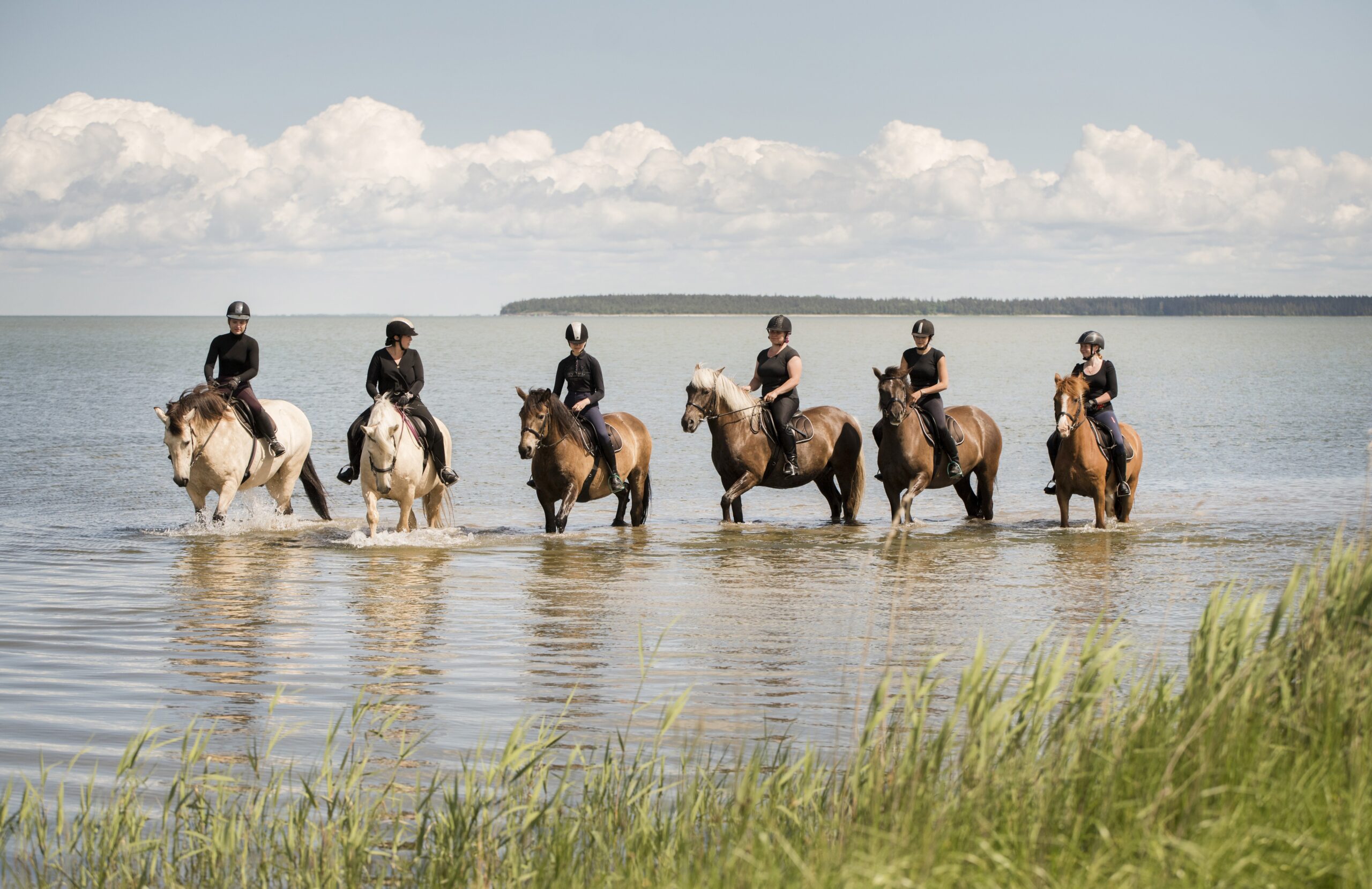 Unique Seniors Tour Summer 2025 Estonia