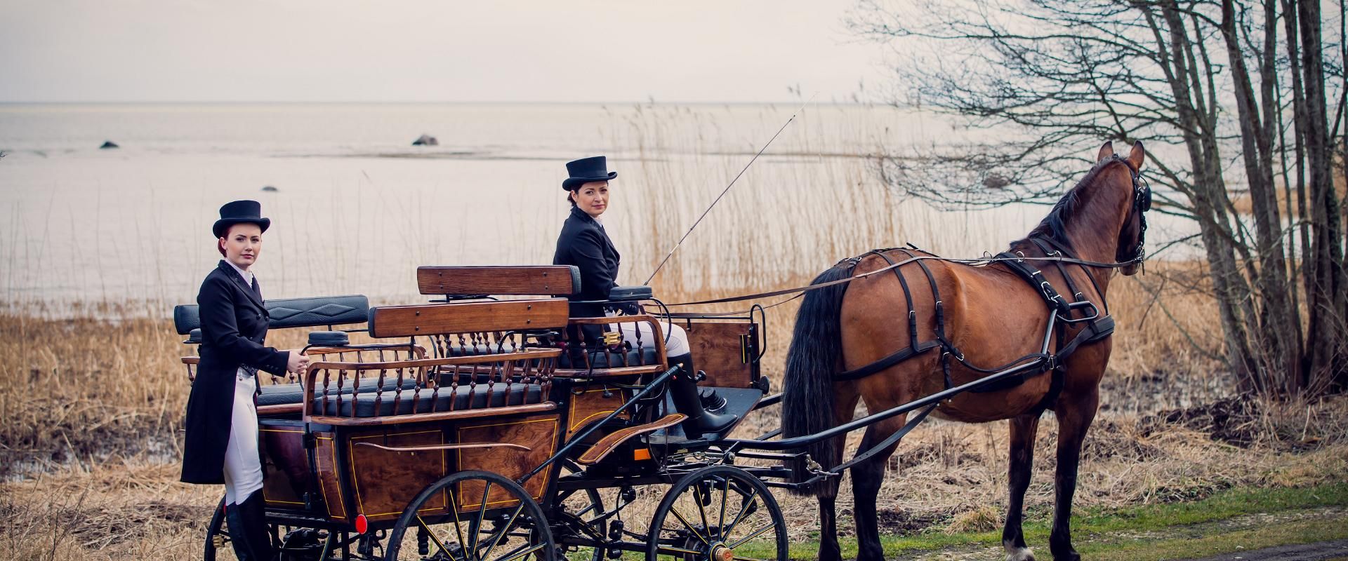 Unique Seniors Tour Summer 2025 Estonia