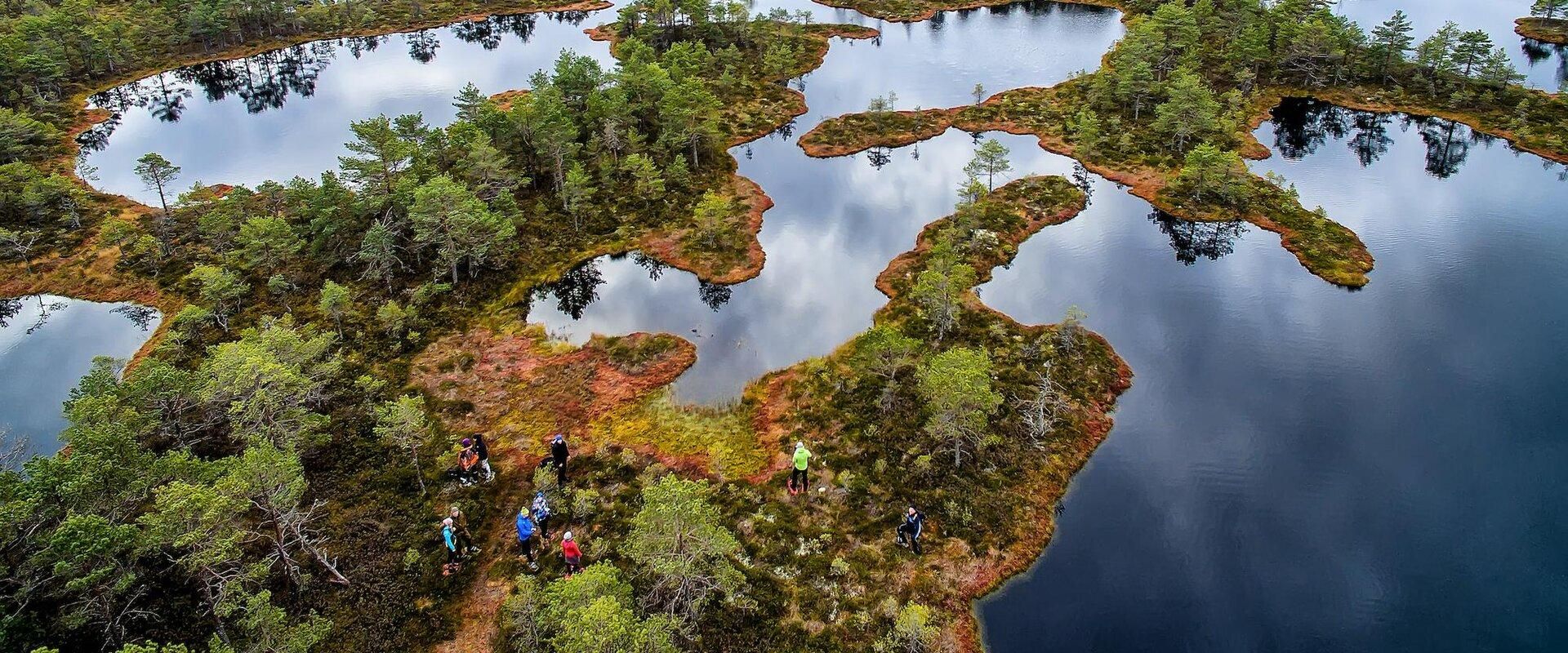 Unique Seniors Tour Summer 2025 Estonia