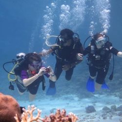 7 Days Cairo and Sharm El-Sheikh Tour With Domestic Flights Cairo and Sharm El Shiekh Tour