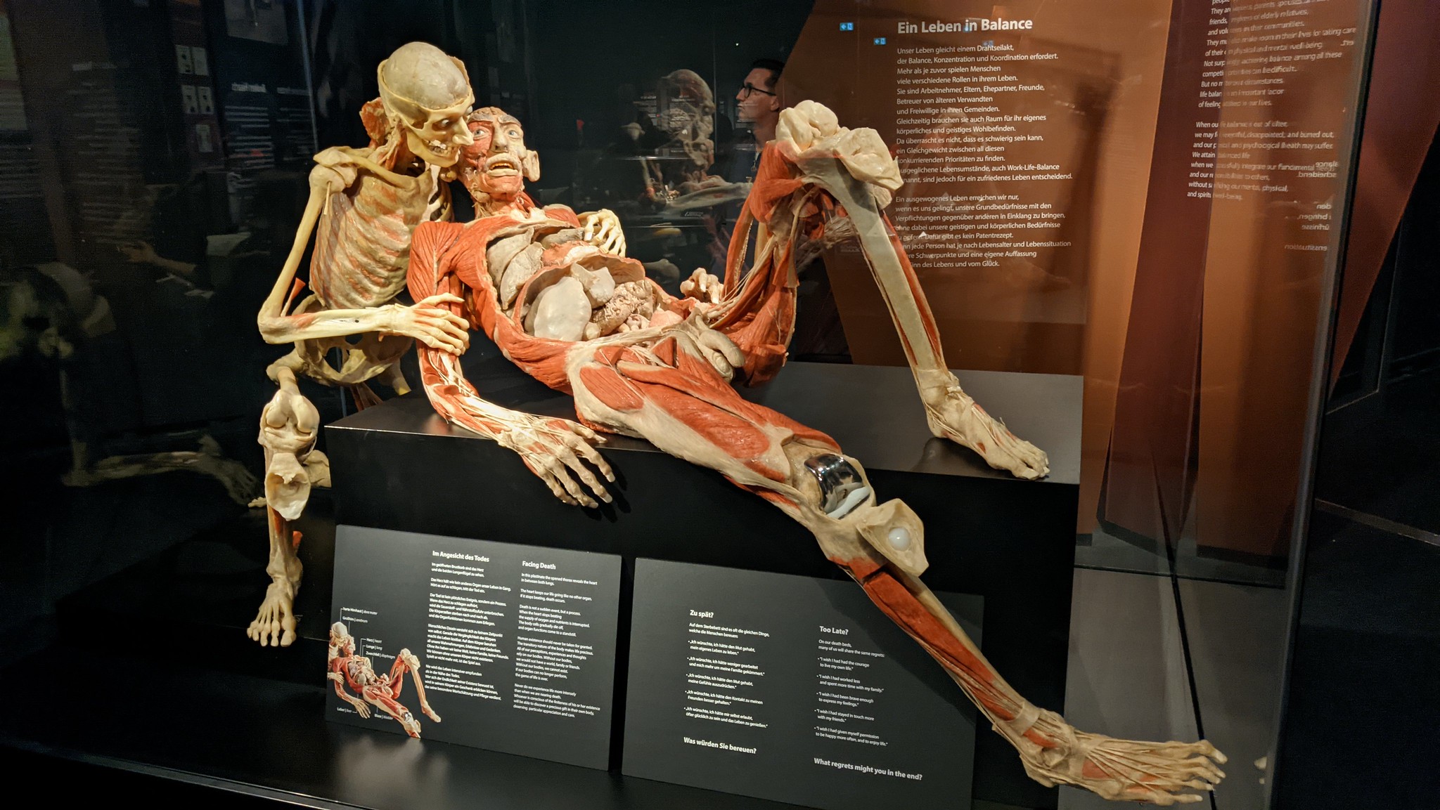 Body Worlds Museum