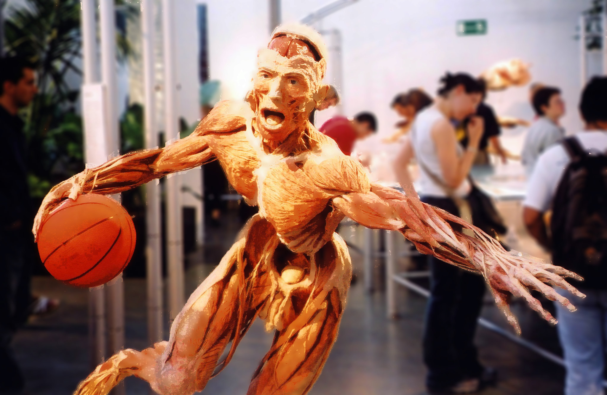 Body Worlds Museum