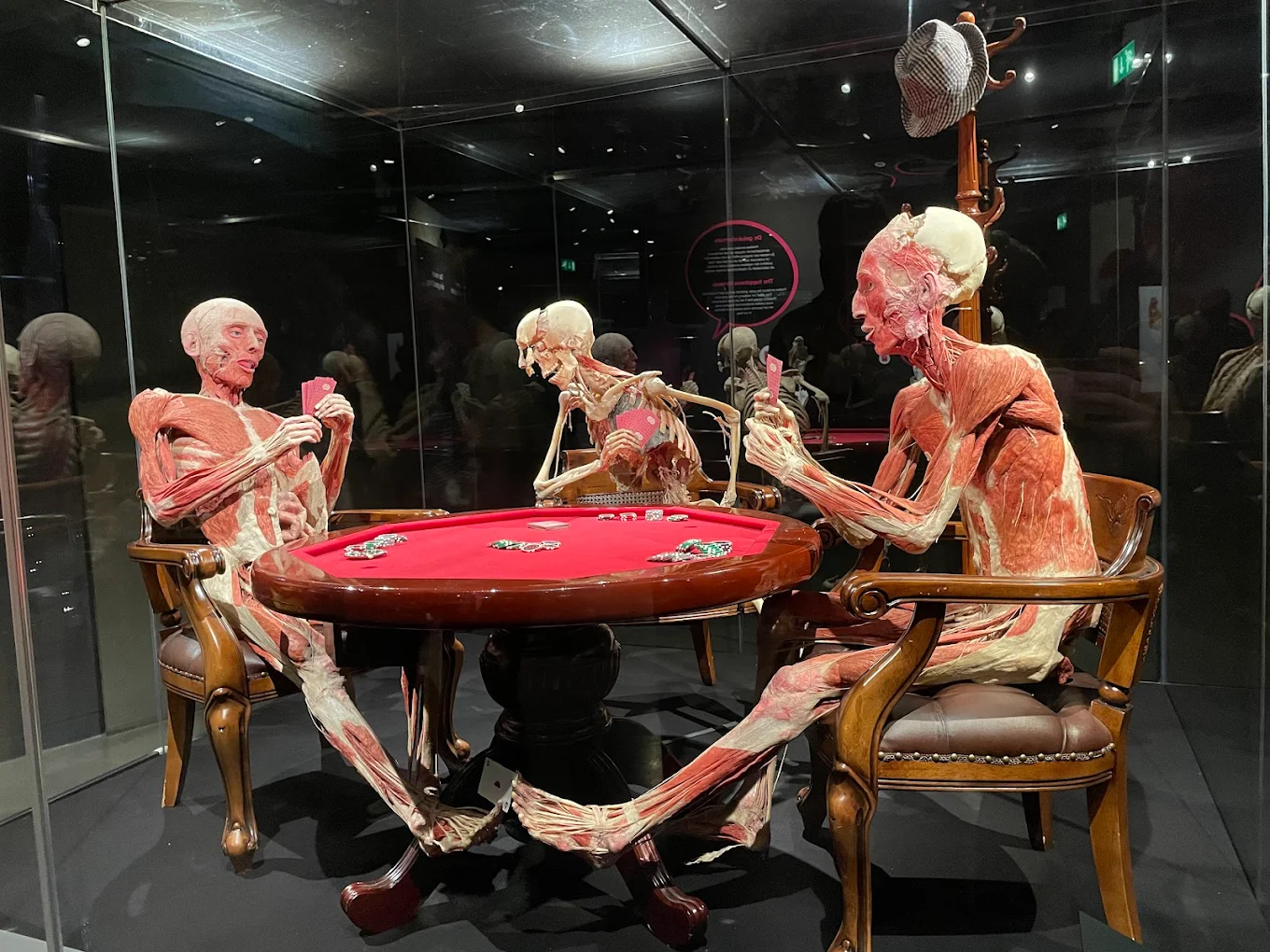 Body Worlds Museum