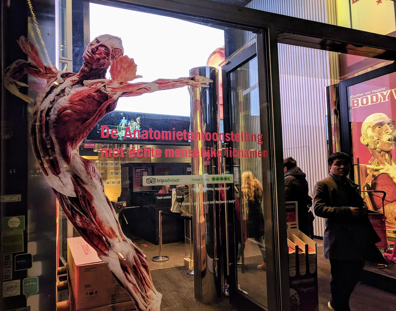 Body Worlds Museum
