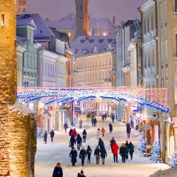 Tallinn Christmas Market Walking Tour Budget Friendly Tallinn Christmas Market Walking Tour