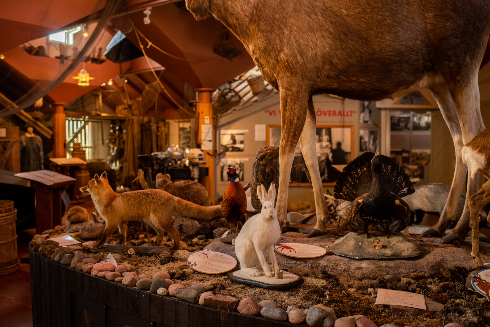 Åland Hunting & Fishing Museum