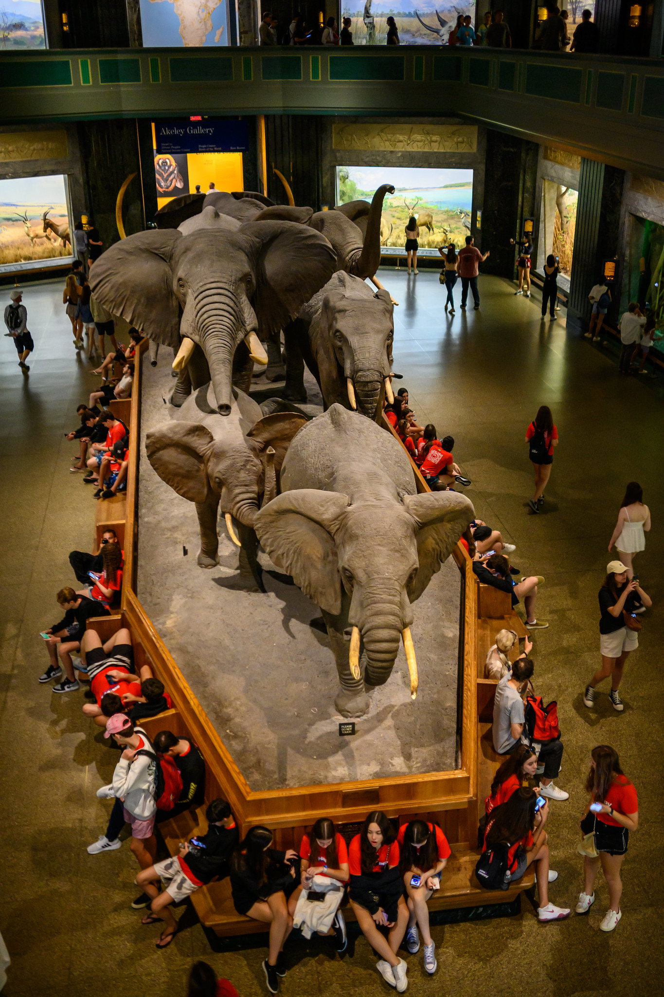 American Museum of Natural History