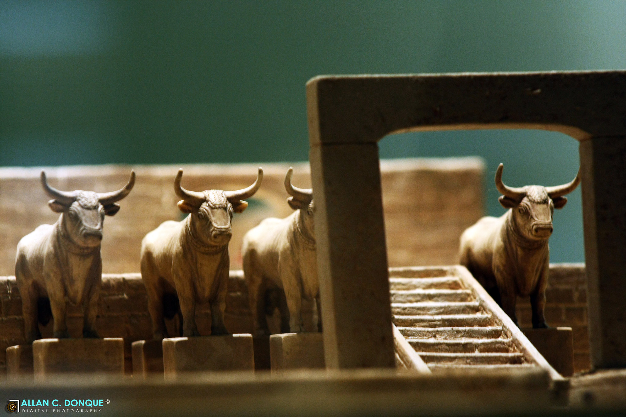 Bahrain National Museum