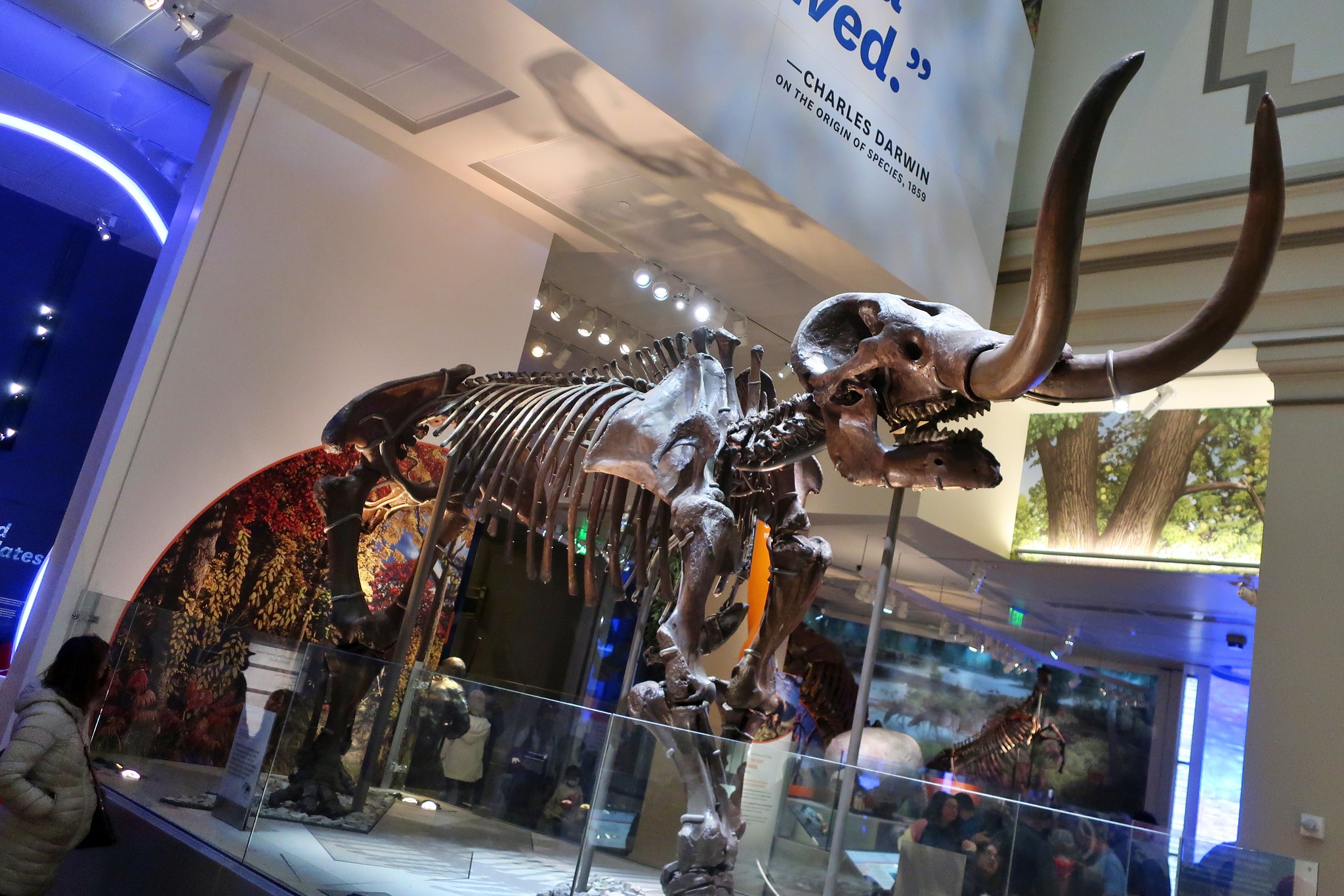 National Museum of Natural History (NMNH)