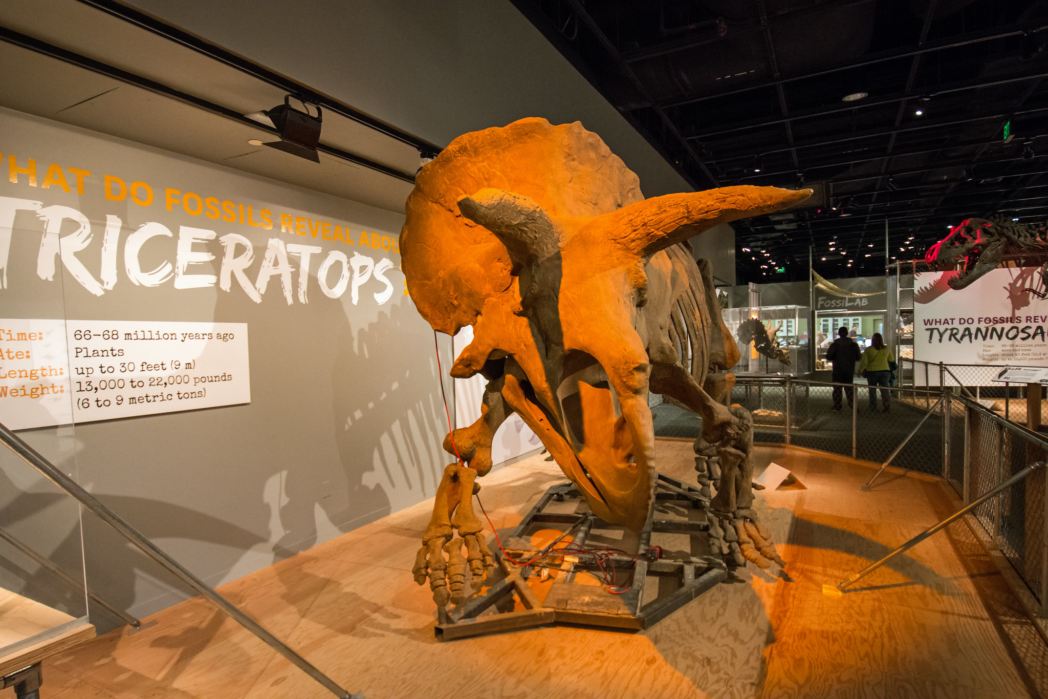 National Museum of Natural History (NMNH)