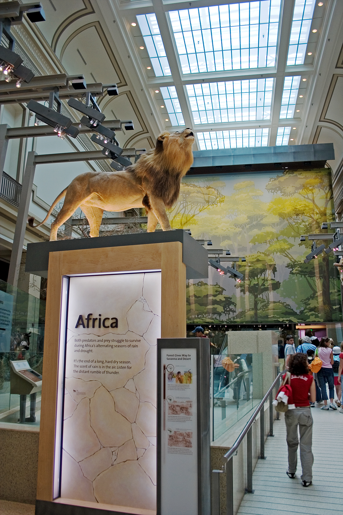 National Museum of Natural History (NMNH)