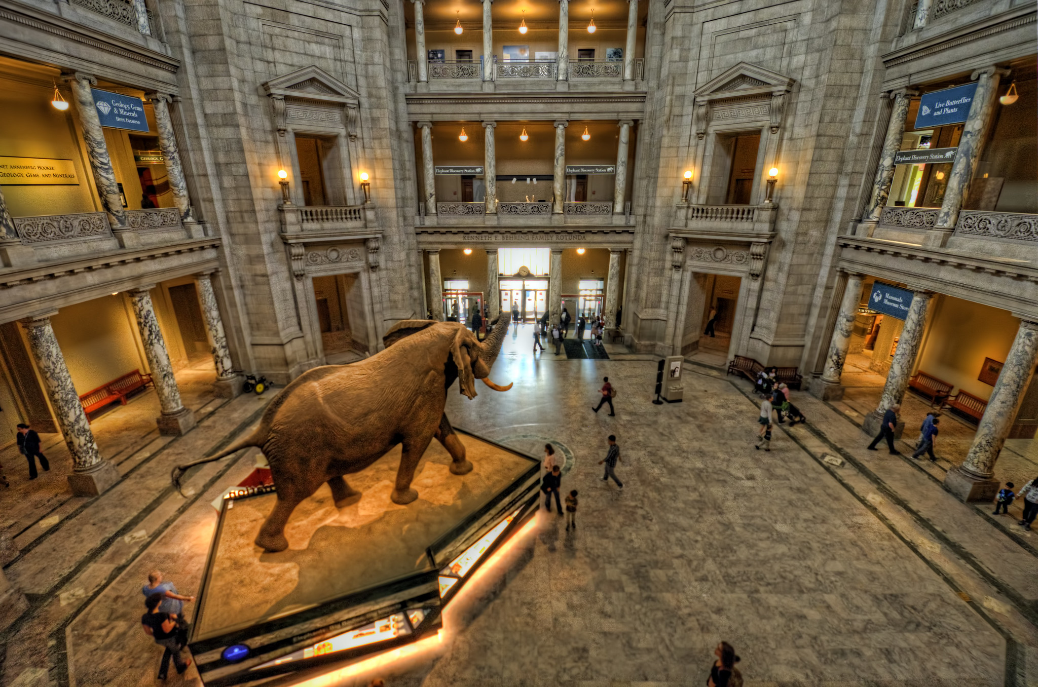 National Museum of Natural History (NMNH)