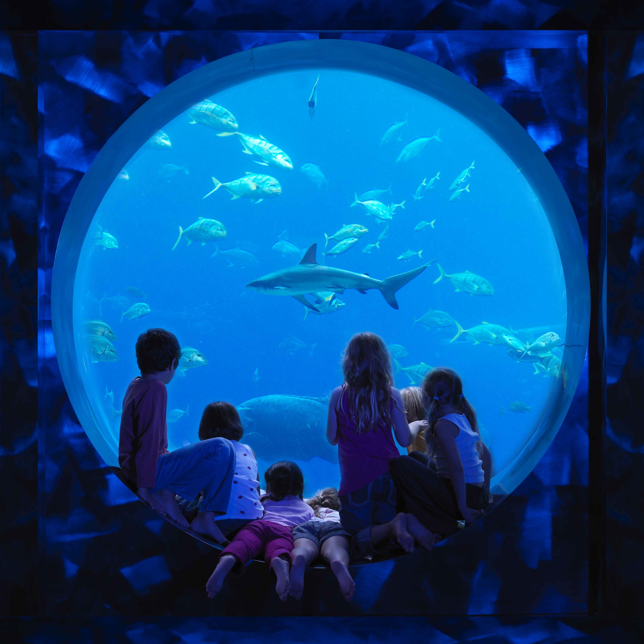 The Lost Chambers Aquarium