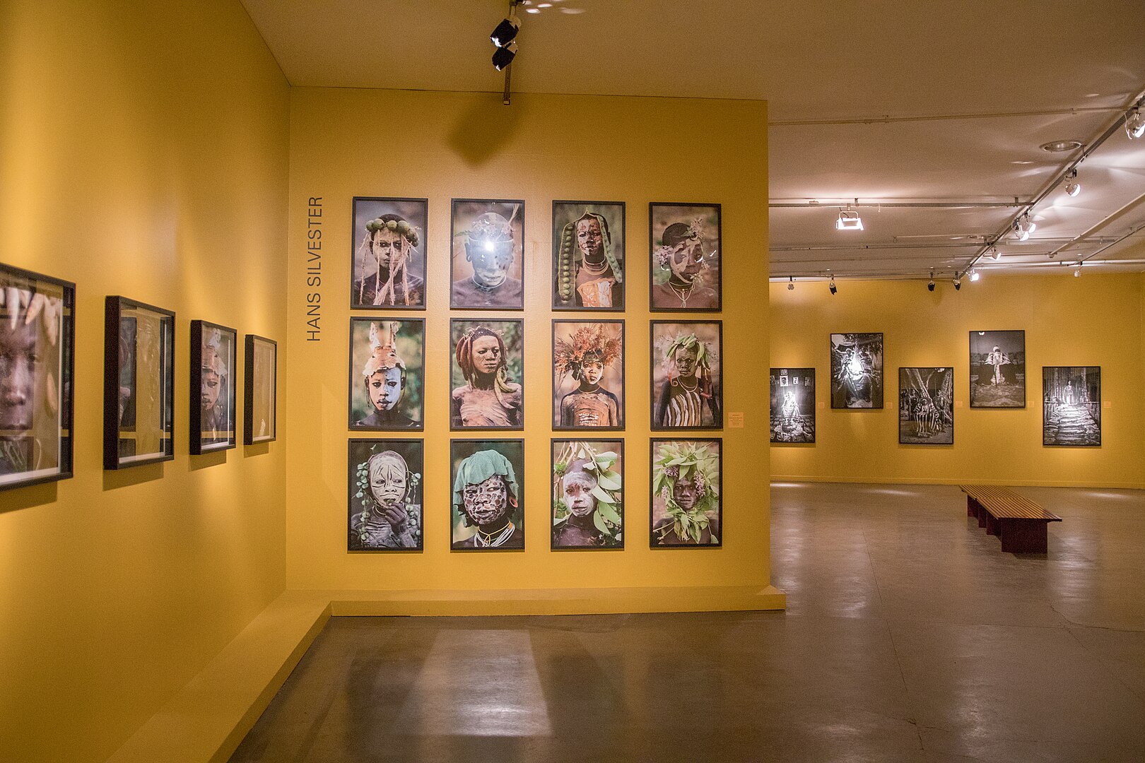Afro Brazil Museum