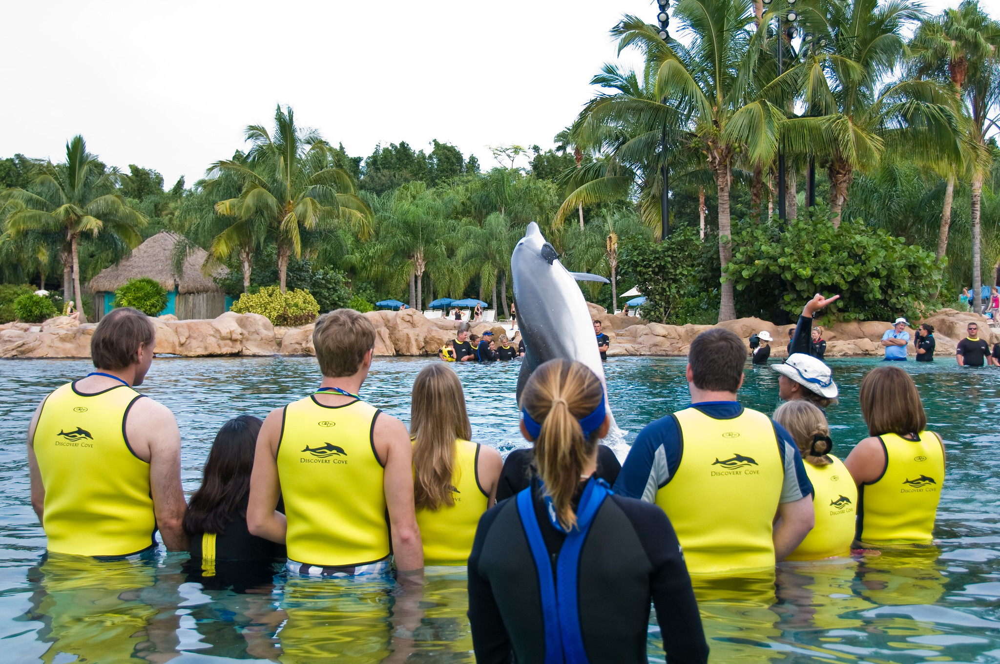 Discovery Cove