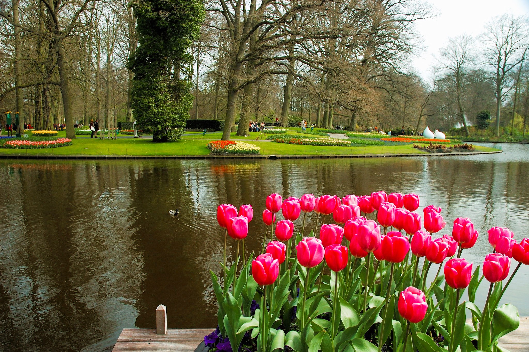 Keukenhof