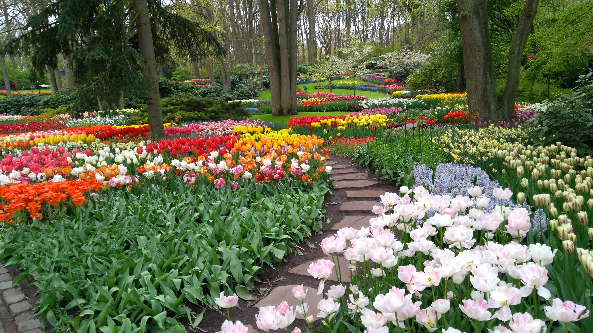 Keukenhof