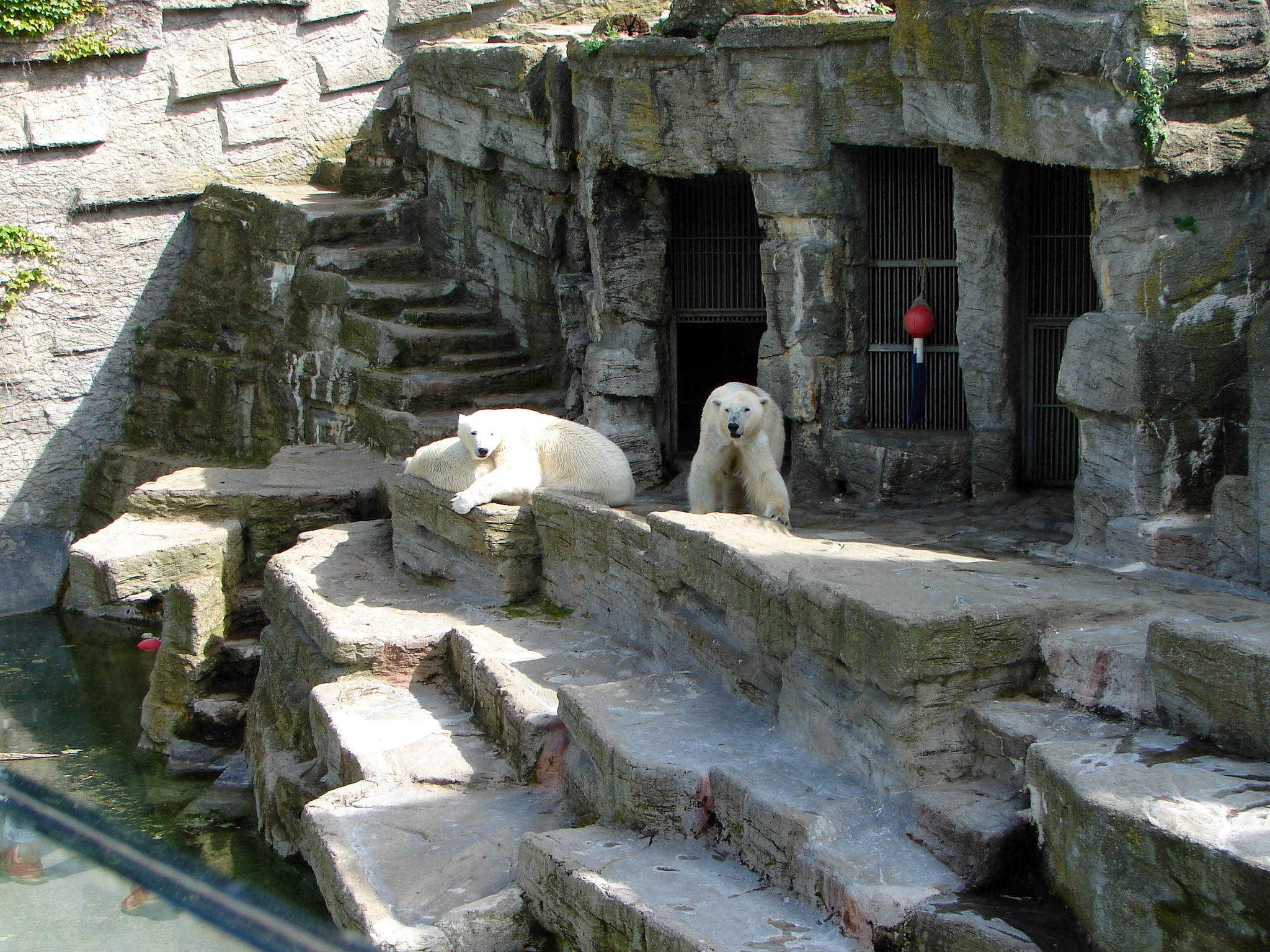 Schönbrunn Palace -Tiergarten Schönbrunn