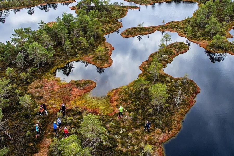 Estonia Best Nature Trails – Full Day Adventure from Tallinn