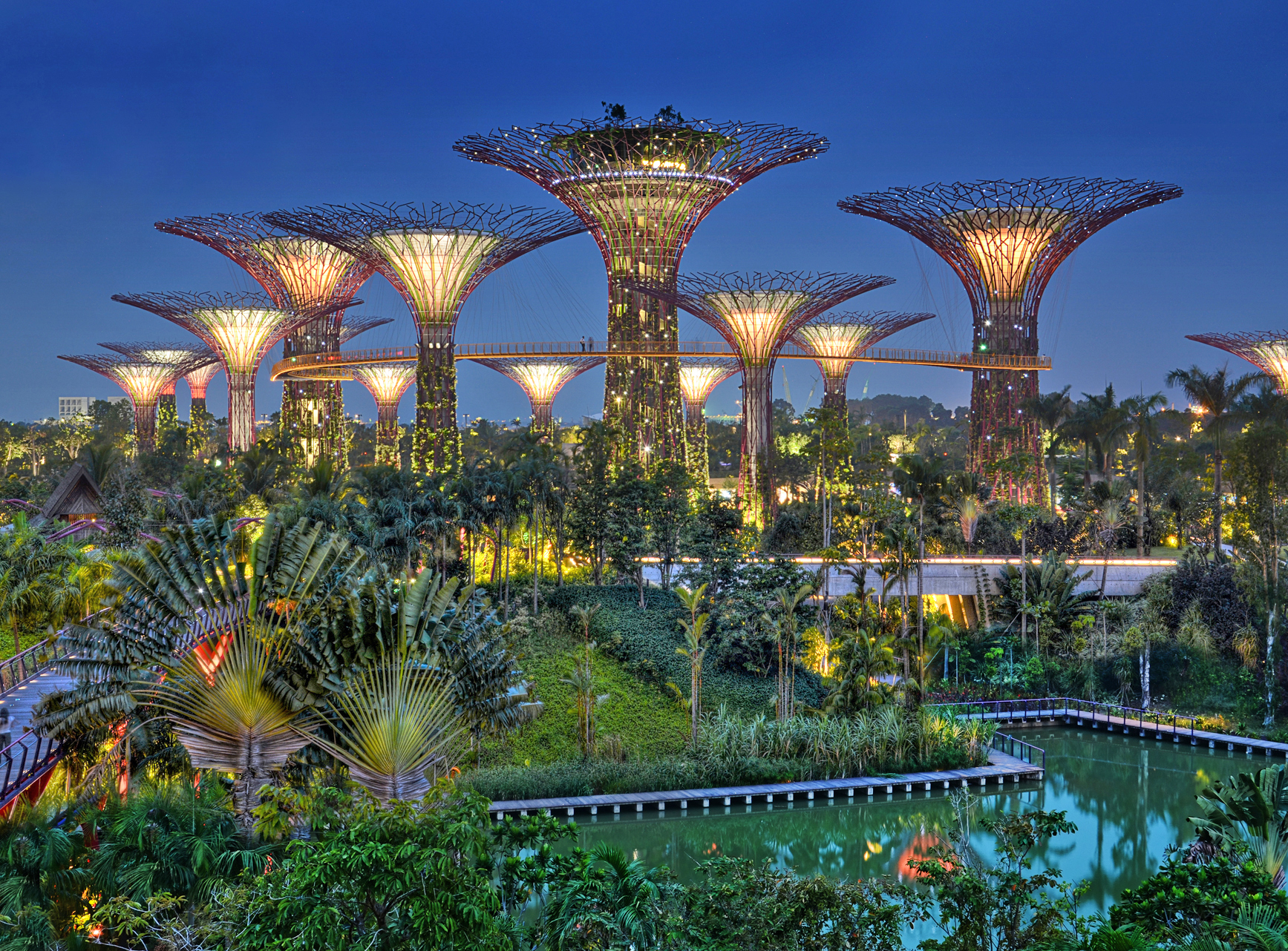 Gardens by the Bay - The Supertree Grove