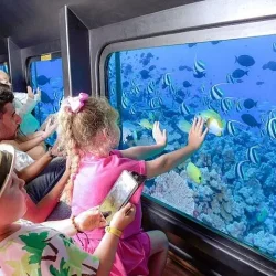 Hurghada Royal Submarine Adventure