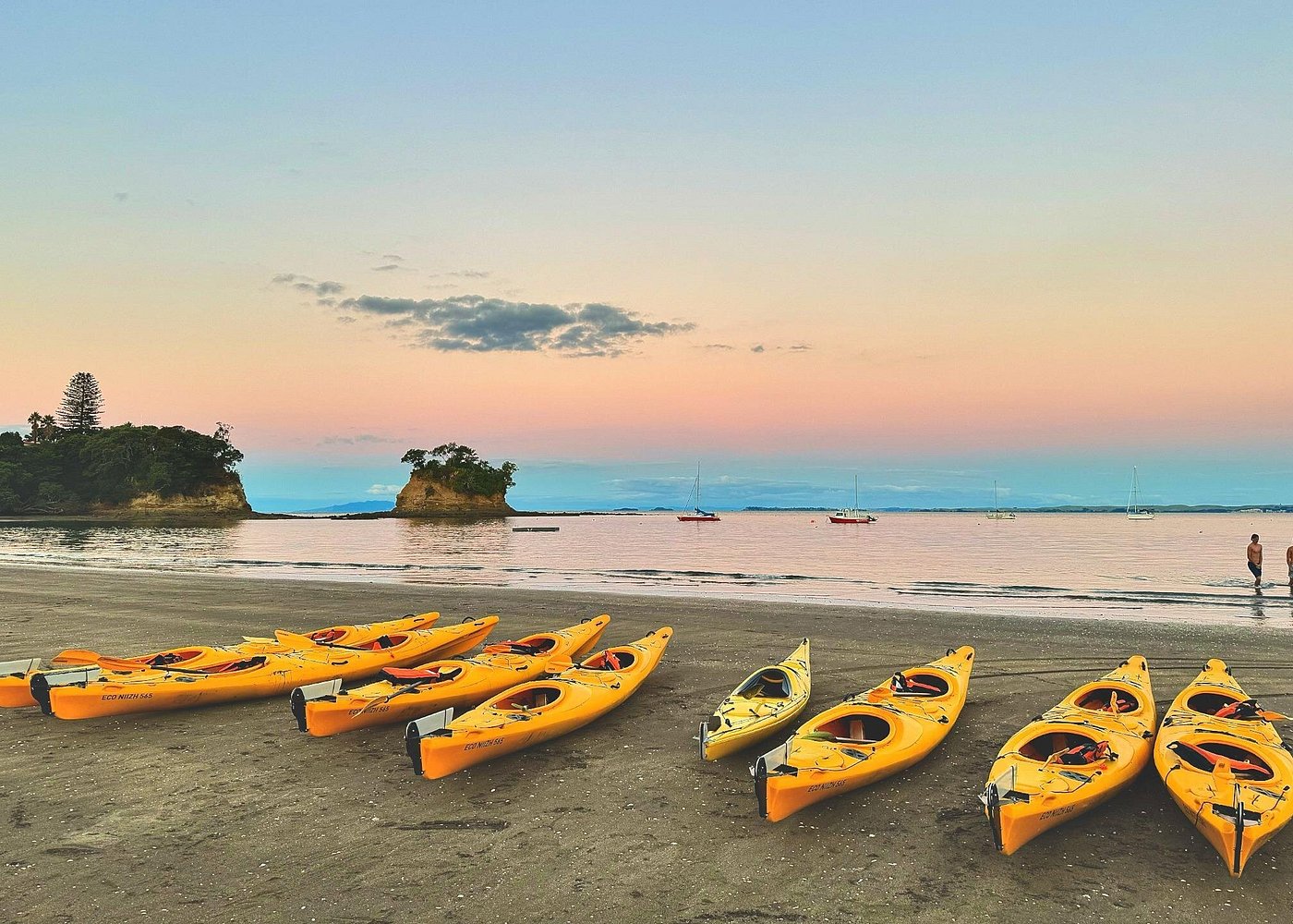 Auckland Bioluminescence Kayak Tour