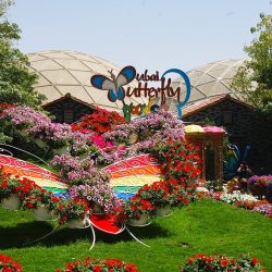 Dubai Butterfly Garden Admission Ticket with Optional Transfers