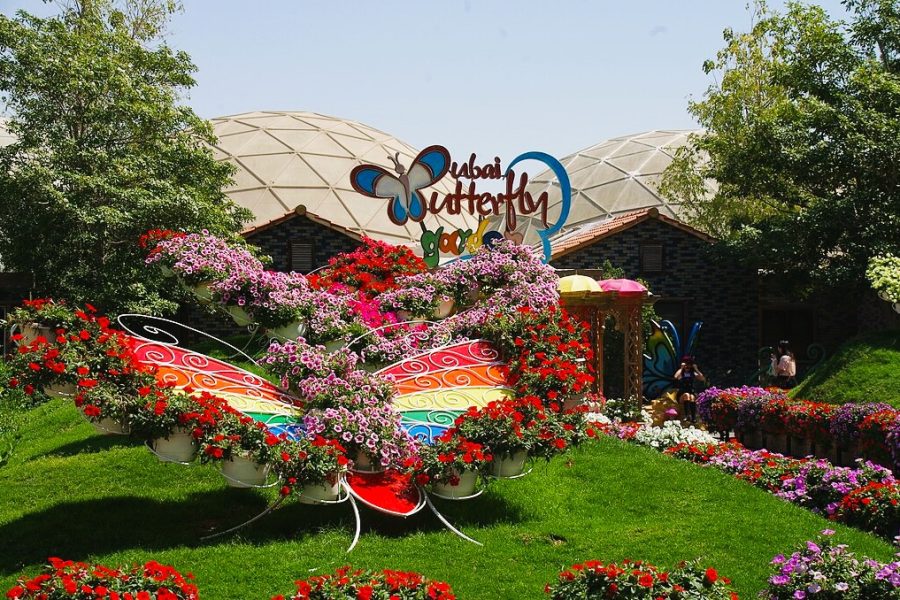 Dubai Butterfly Garden Admission Ticket with Optional Transfers
