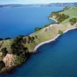 Duder Regional Park Full-Day Guided Walking Tour