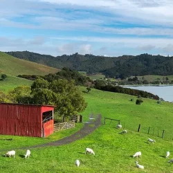 Duder Regional Park Full-Day Guided Walking Tour