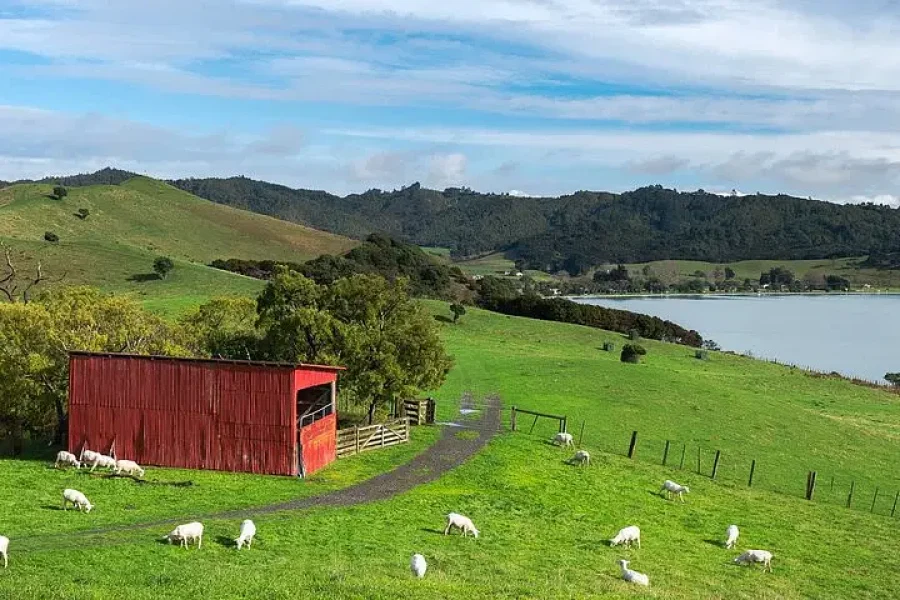 Duder Regional Park Full-Day Guided Walking Tour