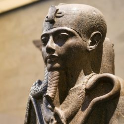 Egyptian Museum Tour in Cairo