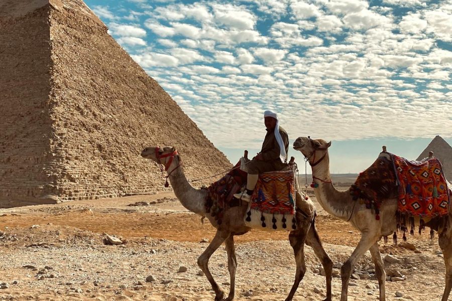 Giza Pyramids, Sphinx, Memphis & Saqqara Tour with Lunch & Camel Ride